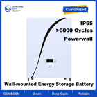 OEM ODM LiFePO4 lithium battery wall-mounted solar household energy storage battery 5kwh 10kwh lithium battery packs