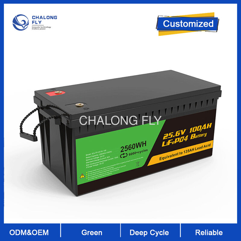 Bms Lithium Battery 12.8v 100ah 150ah 200ah 300ah Lithium Iron Phosphate Battery Lifepo4 for Rv Marine