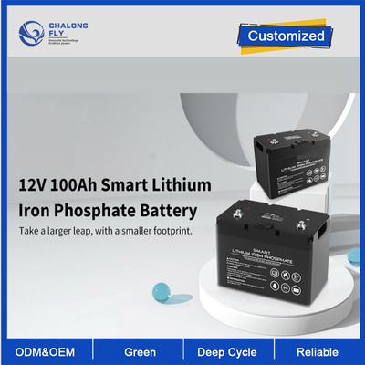 OEM ODM LiFePO4 μπαταρία λιθίου 12V 100Ah μπαταρία λιθίου έξυπνος βαθύ κύκλο εξατομικευμένη μπαταρία μπαταρίες λιθίου