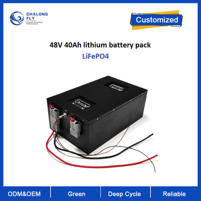 Lithium LiFePO4 OEM Battery Pack with RS485 Communication AGV RGV Golf Cart Robot Motorcycles Scooter with 6000cycles