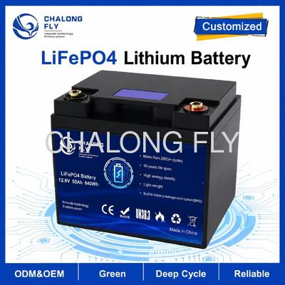 Προσαρμοσμένη μπαταρία LiFePO4 12.8V 50Ah με ενσωματωμένο BMS για τροχόσπιτο/camper και βοηθητική τροφοδοσία