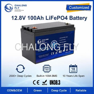 Προσαρμοσμένη μπαταρία LiFePO4 12,8V 100Ah με BMS για ηλιακά φώτα δρόμου και βοηθητική ενέργεια RV